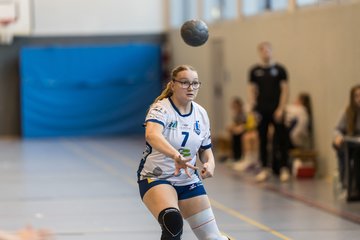 Bild 236 - wBJ HTS/BW96 Handball - Niendorfer TSV : Ergebnis: 27:27